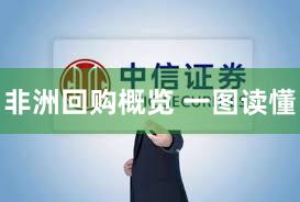 非洲回购概览 一图读懂